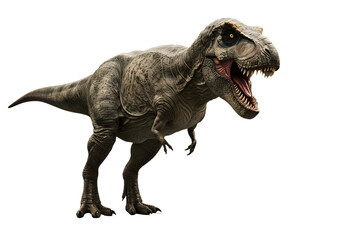 T-rex, Tyrannosaurus Rex, on transparent background