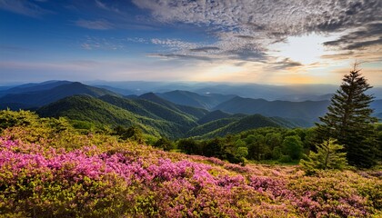 Obraz premium Blue Ridge Mountains and Spring Flowers