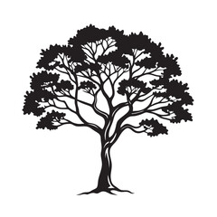 Mesquite tree silhouette for dry forest concept