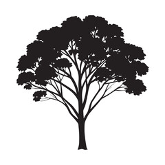 Eucalyptus tree silhouette for herbal graphics