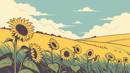 field of sunflowers
