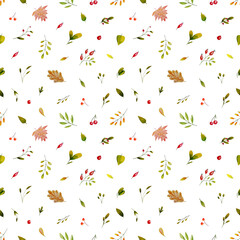Seamless pattern with autumn leaves, berries. Watercolor delicate print on white background, colorful illustration. Wallpaper, scrapbooking paper and wrapping paper design