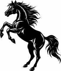 black horse isolated on white