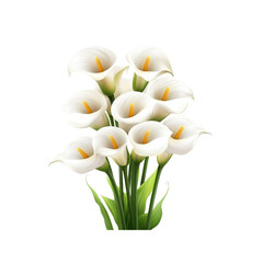 Fototapeta premium Elegant Bouquet of White Calla Lilies on Transparent Background