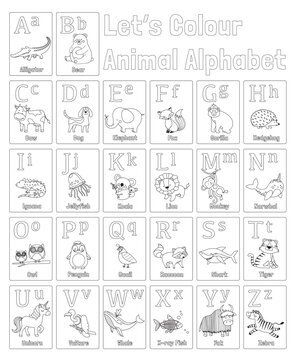 ABC Animal Alphabet Printable Colouring Page, Poster, Line Drawing for Kids learning English, Vector Illustration