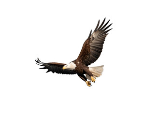 Vibrant colorful bird in flight with detailed feathers in red, yellow, blue, and black. Ideal for nature illustrations, wildlife designs, and artistic compositions against or on transparent PNG.