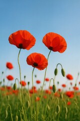 Obraz premium Crimson Blooms against Azure Sky Backdrop