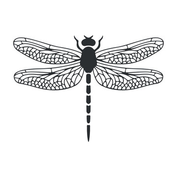 recommend clip art: dragonfly silhouette insect detailed wings nature bug icon vector illustration