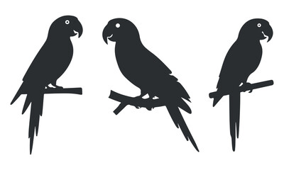 Fototapeta premium Parrot Silhouette Set Vector Illustration Black Tropical Bird Shapes