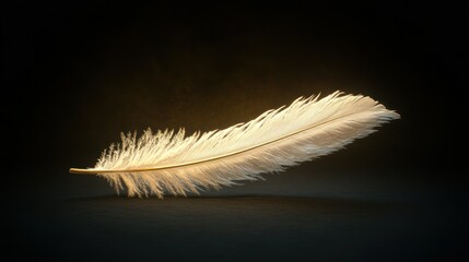 Illuminated Feather