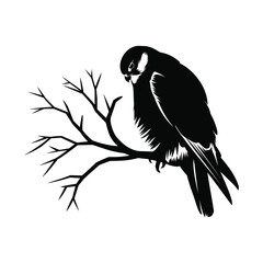 Obraz premium Falcon Bird Silhouette Vector illustration 