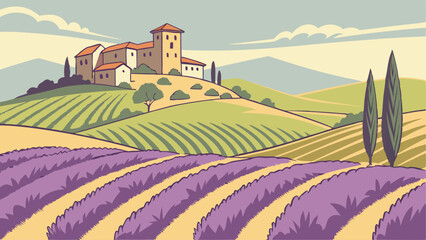 vineyard in tuscany