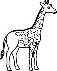 giraffe isolated on white background