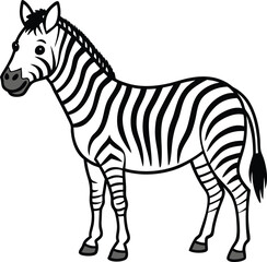 zebra isolated on white background