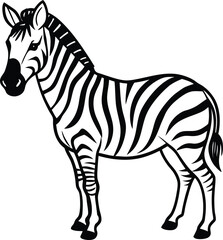 Obraz premium zebra isolated on white background