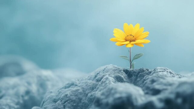 Resilience and inspiration concept with a yellow flower growing from rocky ground, symbolizing willpower and self-improvement