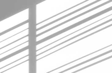 Obraz premium shadow overlay effects of realistic window and tree branch shadow with light blur on transparent background,Summer sunlight and shadow overlay effect