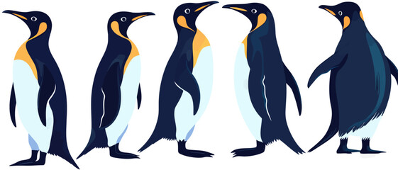 King penguins vector illustration isolated on plain color for design needs