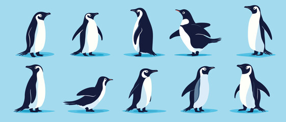 Naklejka premium Penguin vector illustration set antarctic bird group graphic design art