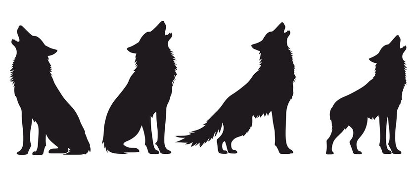 Four howling wolf pack silhouette vector illustration animal predator art