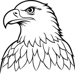 eagle vector illustration