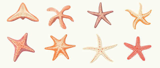 Sea stars illustration vintage style ocean life starfish marine biology art