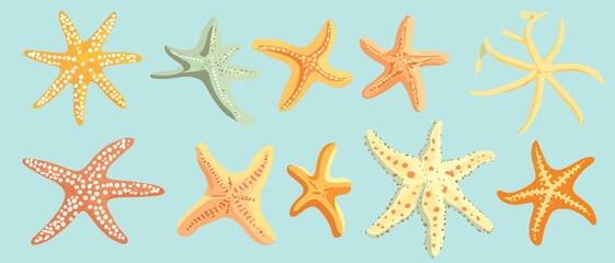 Starfish ocean sea life marine biology summer vacation beach vector art
