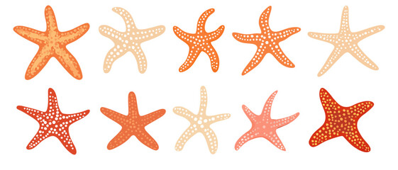 Collection of starfish vector art in orange and peach for graphic design use
