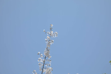 따뜻한 오늘의 봄