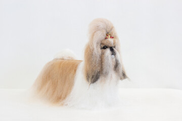 dog made of wool on white background, shih tzu, minifigure, felting, felting, pet sculpture, hobby...