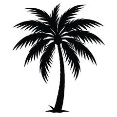 palm tree silhouette