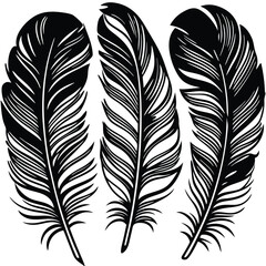 Obraz premium Feathers silhouette set vector image (32).eps
