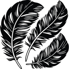 Obraz premium Feathers silhouette set vector image (35).eps