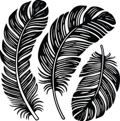 Fototapeta premium Feathers silhouette set vector image (19).eps