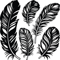 Obraz premium Feathers silhouette set vector image (21).eps
