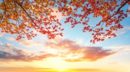 Autumn leaves frame sunset sky; fall foliage, nature background, idyllic scene, peaceful landscape, website header