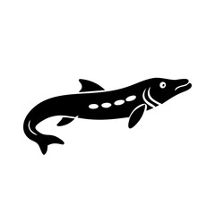 bichir icon, bichir silhouette vector illustration-simple silhouette illustration of bichir, perfect for bichir logos and icons