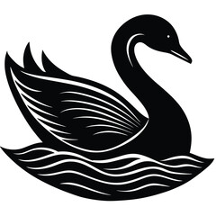 black swan vector