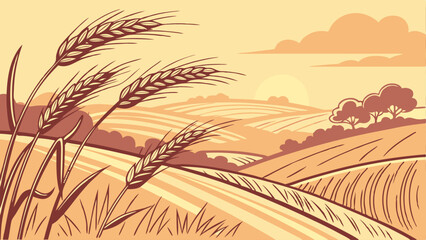 field of wheat