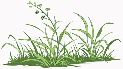 Fototapeta premium fresh green grass