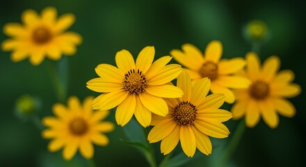Golden Hour Bloom AI Generated