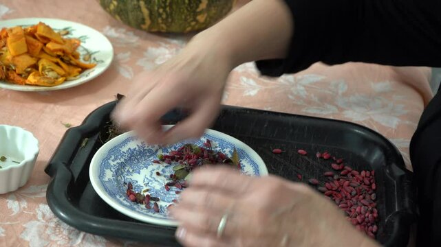 Hands closeup. An elderly woman sorts dried barberries red berry. A grandmother prepares food at the table. Dry leaf herb