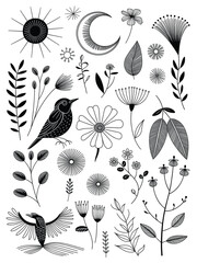 Natures Harmony Sun, Moon, Birds, and Blooms