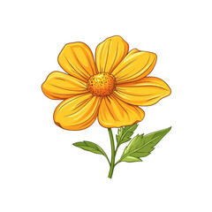 Vibrant Yellow Daisy Flower Illustration