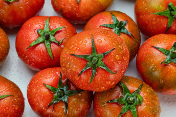 red tomatoes on the vine