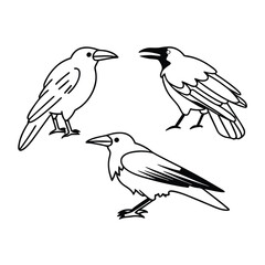 set-of-crow-silhouette-vector-image (43).eps
