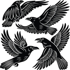 Obraz premium set-of-crow-silhouette-vector-image (18).eps