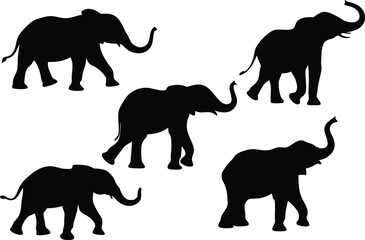 Naklejka premium Comprehensive Vector Silhouette Set Depicting Five Elephants in Unique Poses Including Walking, Grazing, and Trumpeting in Minimalistic Black-and-White Style