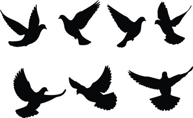Obraz premium Dynamic Vector Silhouette Set Depicting Birds in Various Flying Positions Capturing Unique Wing Movements and Angles, in Elegant Black-and-White Style for Artistic and Nature-Inspired Design Projects,