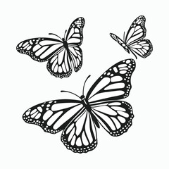 Obraz premium Moth Collection Vector Silhouette bundle